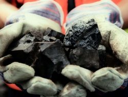 Restitusi PPN Tambang Dorong Perppu Penerimaan Negara